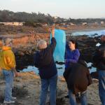 Cambria_0063 (November 02, 2013)